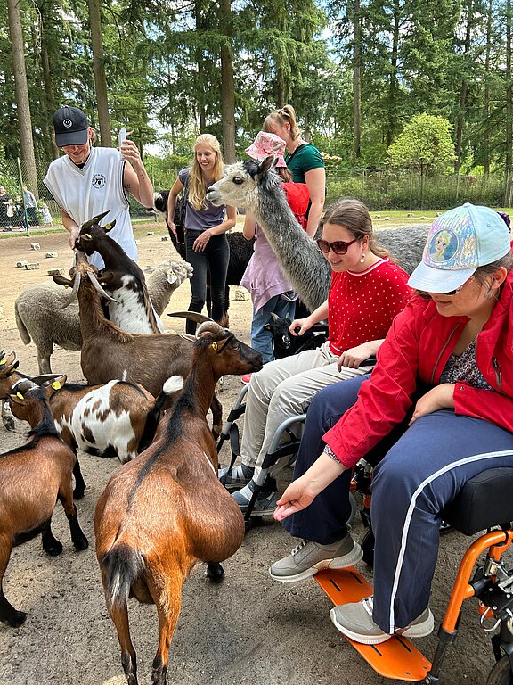 SommerGU2024_Wulsbüttel_Maigpark_IsabellaRosenlöcher_ZiegenAlpakas.jpg