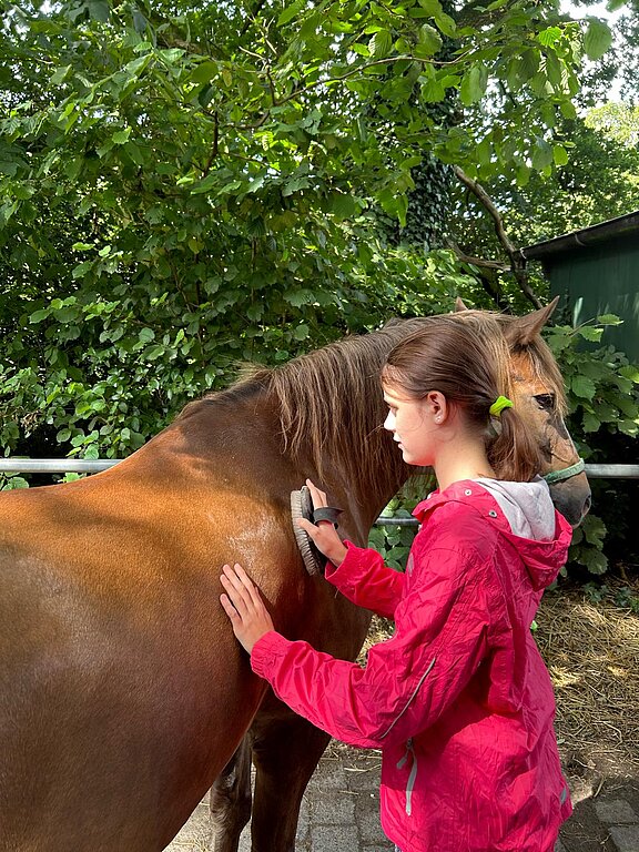 SommerGU2024_Wulsbüttel_Reiterhof_EmmiLouBehnisch_Pferd_Striegeln.jpg