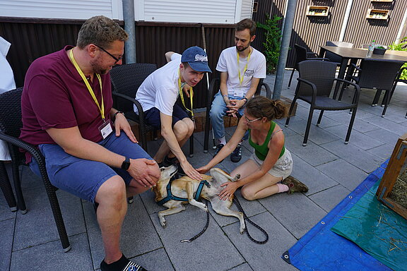 DSC01426.JPG 