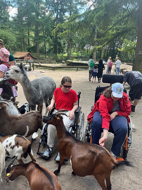 SommerGU2024_Wulsbüttel_Magigpark_IsabellaRosenlöcher_Ziegen_Alpakas.jpg